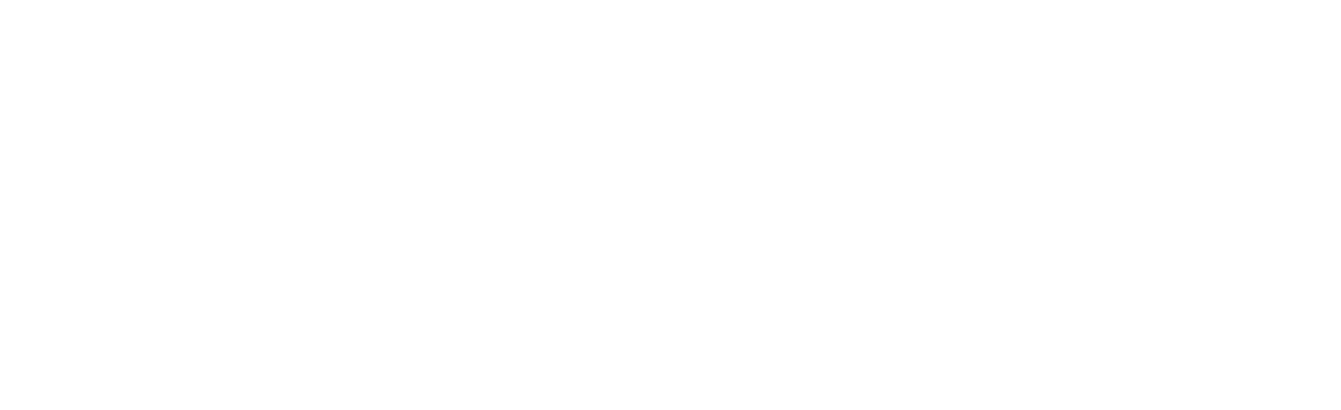 Logo de Naturnice