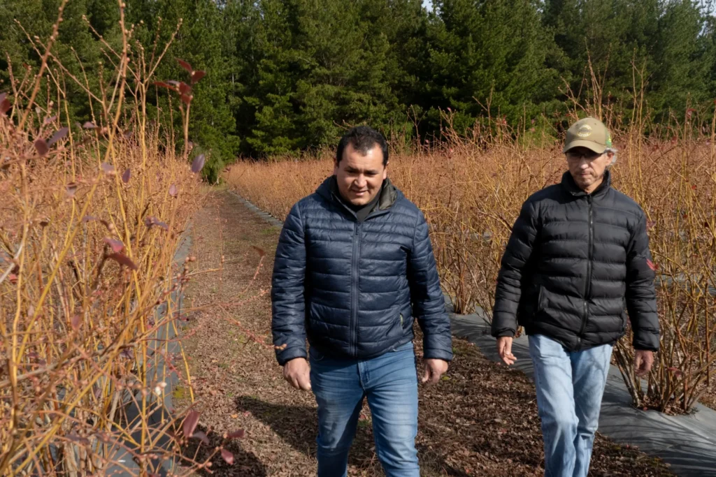 Naturnice en el campo de uno de sus productores de nuestra futura red de proveedores sostenibles