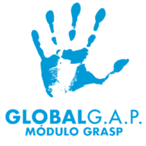 Global GAP GRASP