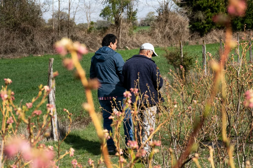 Nuestro agrónomo y Carlos Torres recorriendo el campo