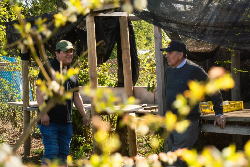 francisco, uno de nuestros ingenieros junto a don heriberto conversando