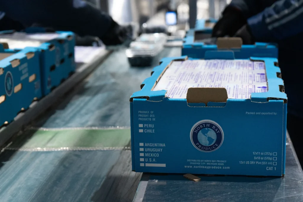 arándanos empaquetados para su comercialización